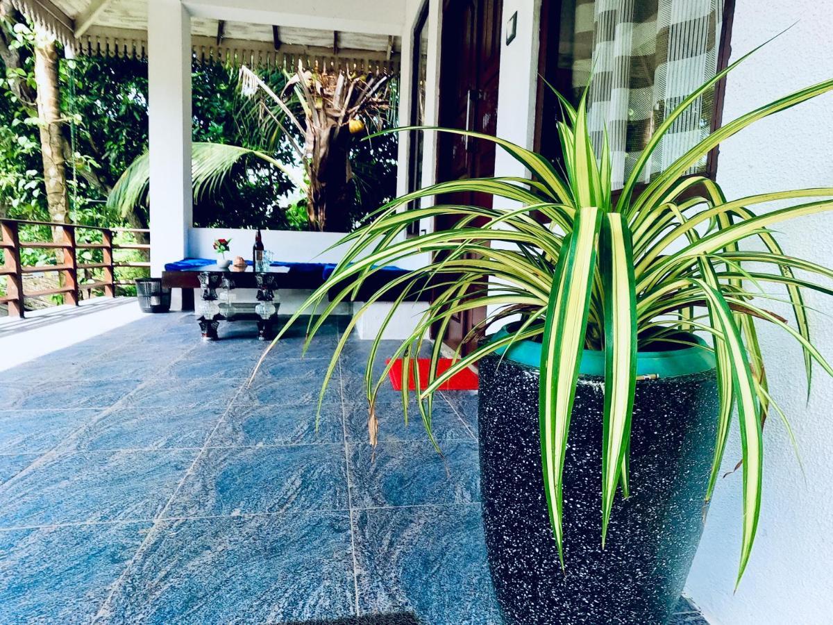 Mountain Seaview Cabanas Tangalle Ngoại thất bức ảnh
