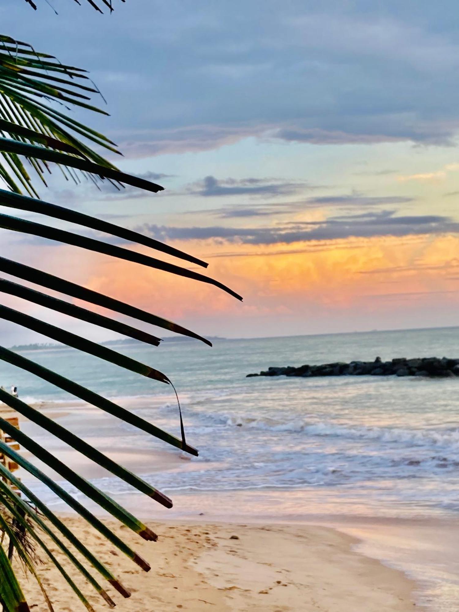 Mountain Seaview Cabanas Tangalle Ngoại thất bức ảnh