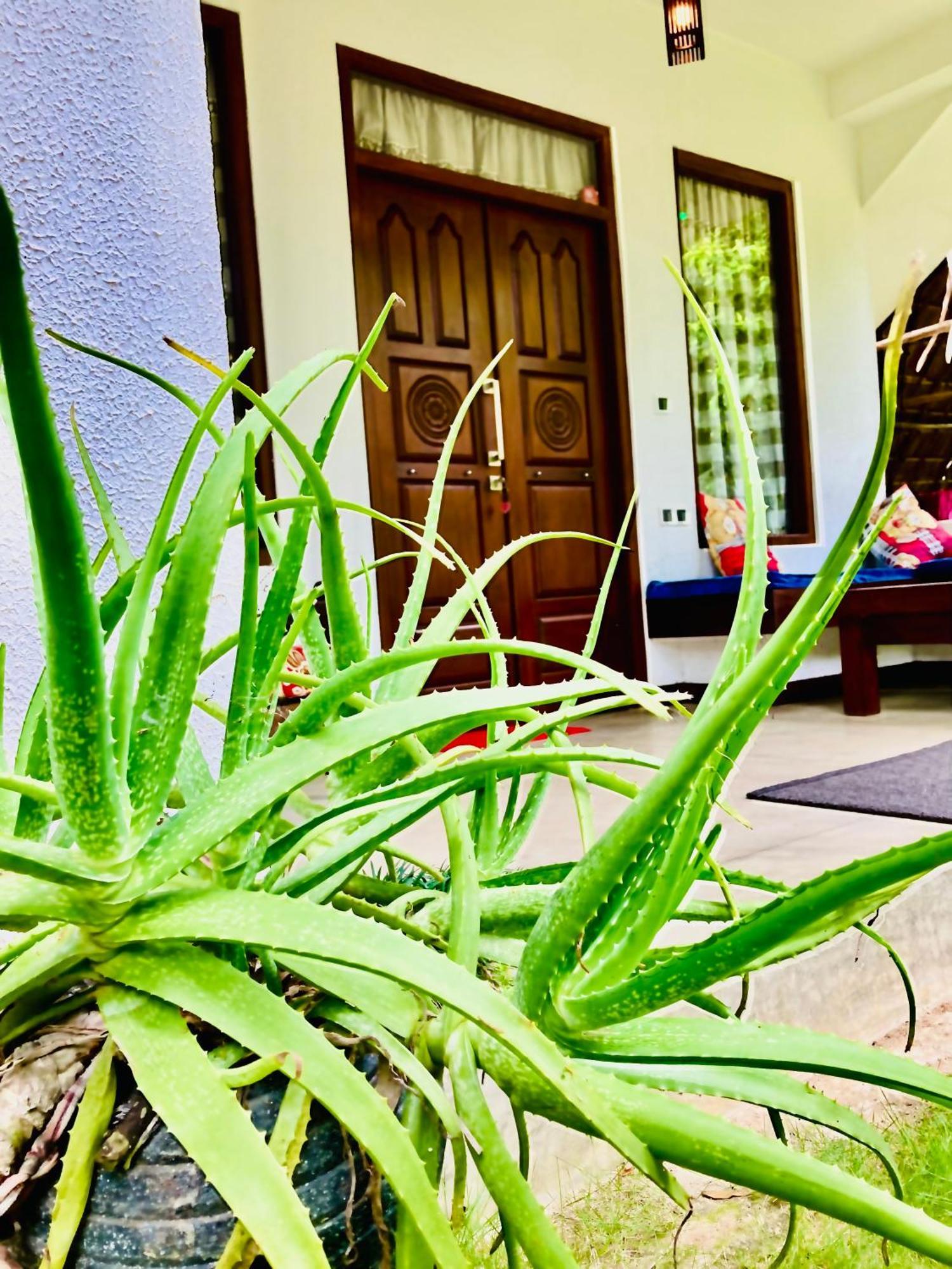 Mountain Seaview Cabanas Tangalle Ngoại thất bức ảnh