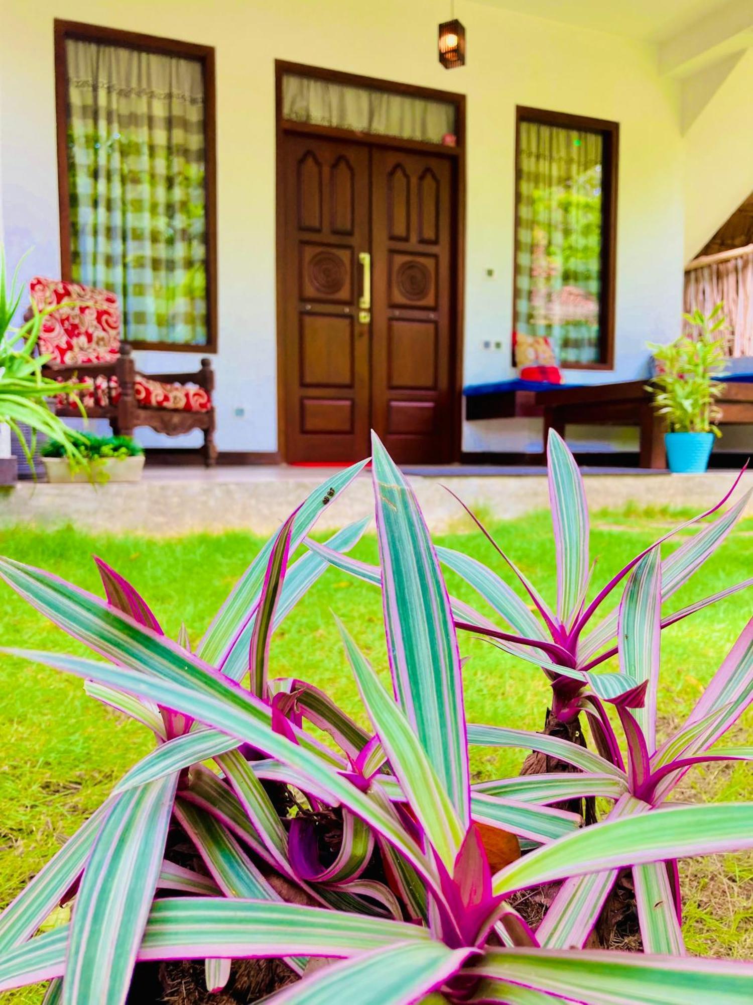 Mountain Seaview Cabanas Tangalle Ngoại thất bức ảnh