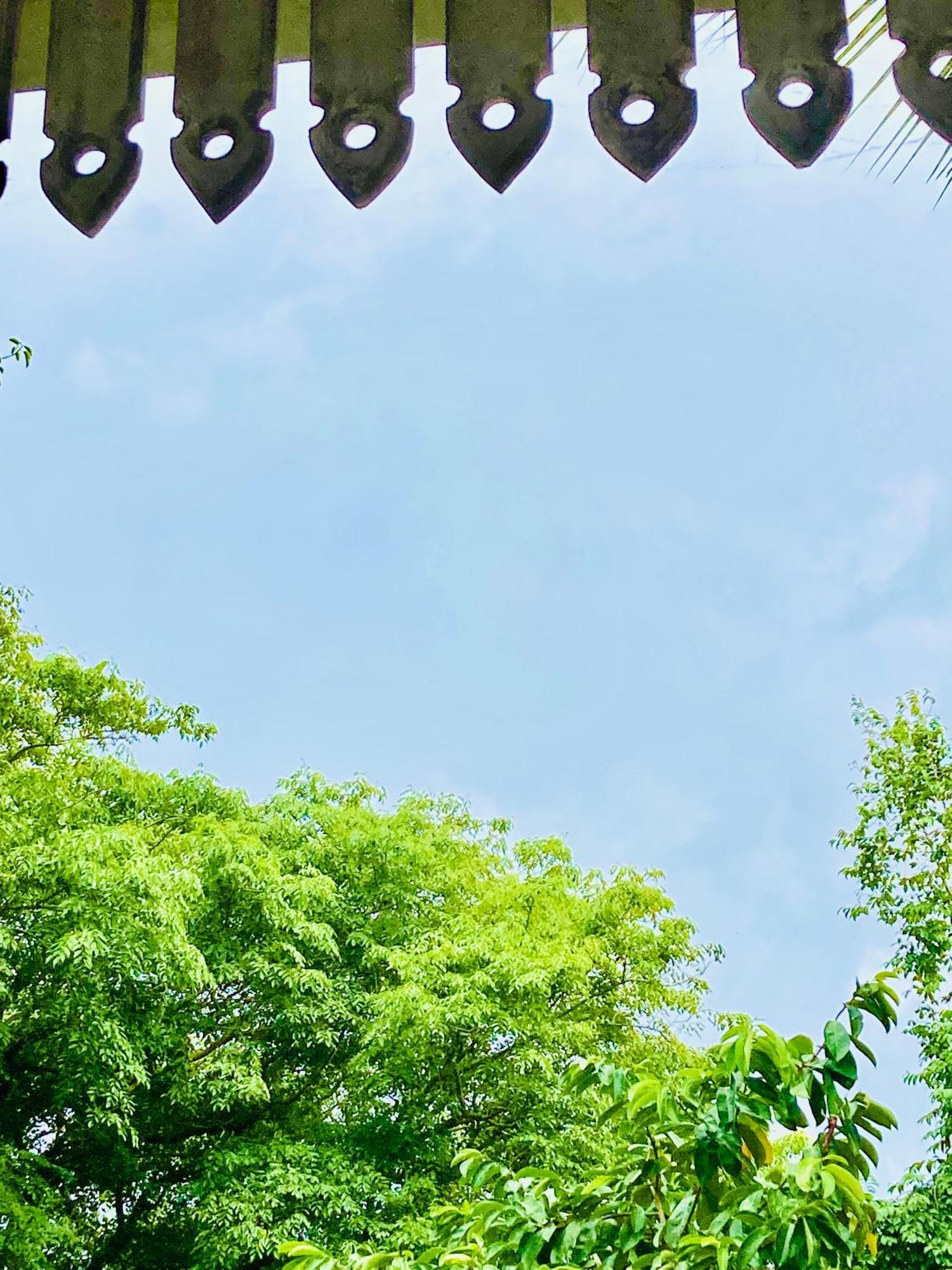 Mountain Seaview Cabanas Tangalle Ngoại thất bức ảnh