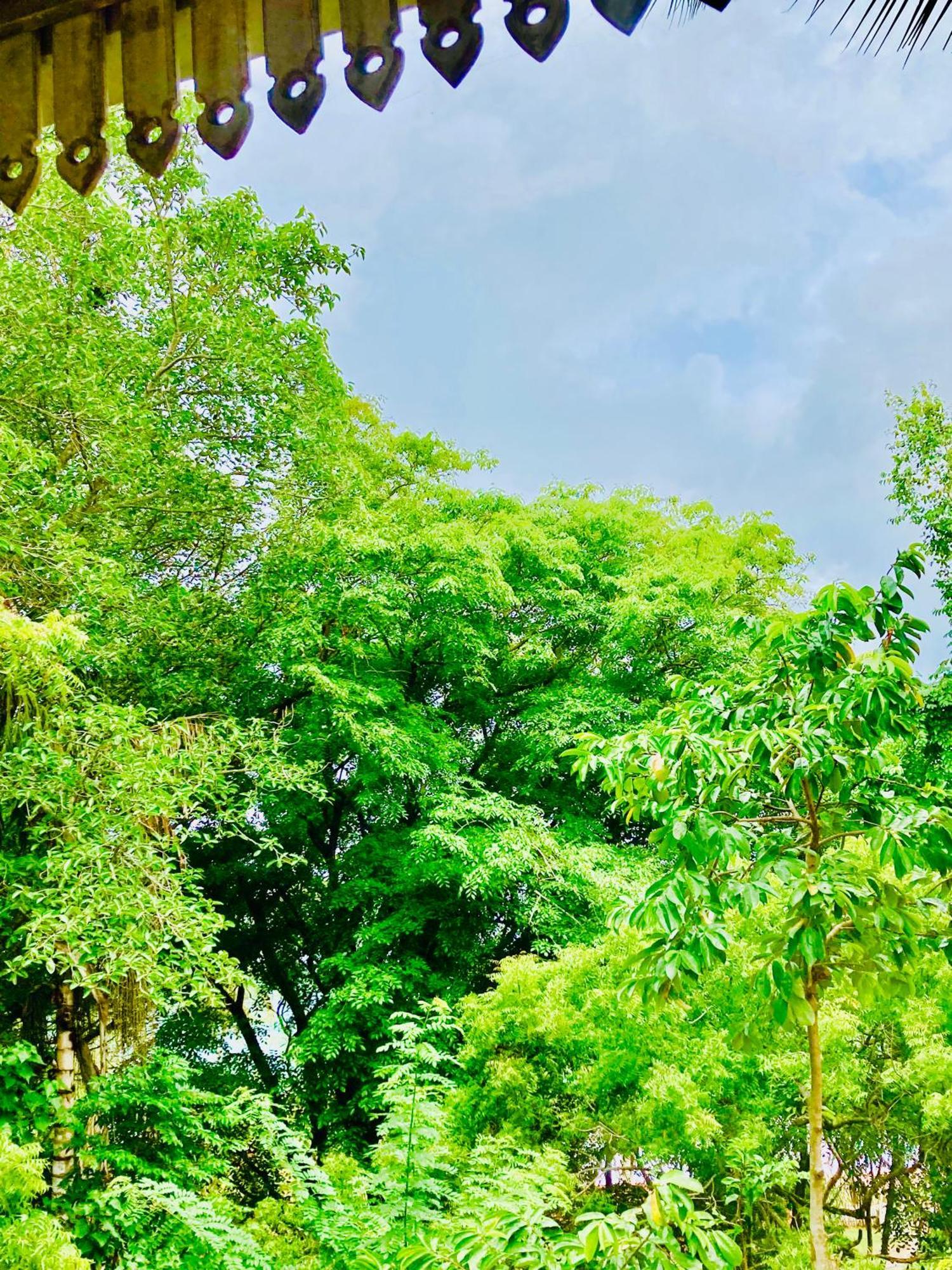 Mountain Seaview Cabanas Tangalle Ngoại thất bức ảnh
