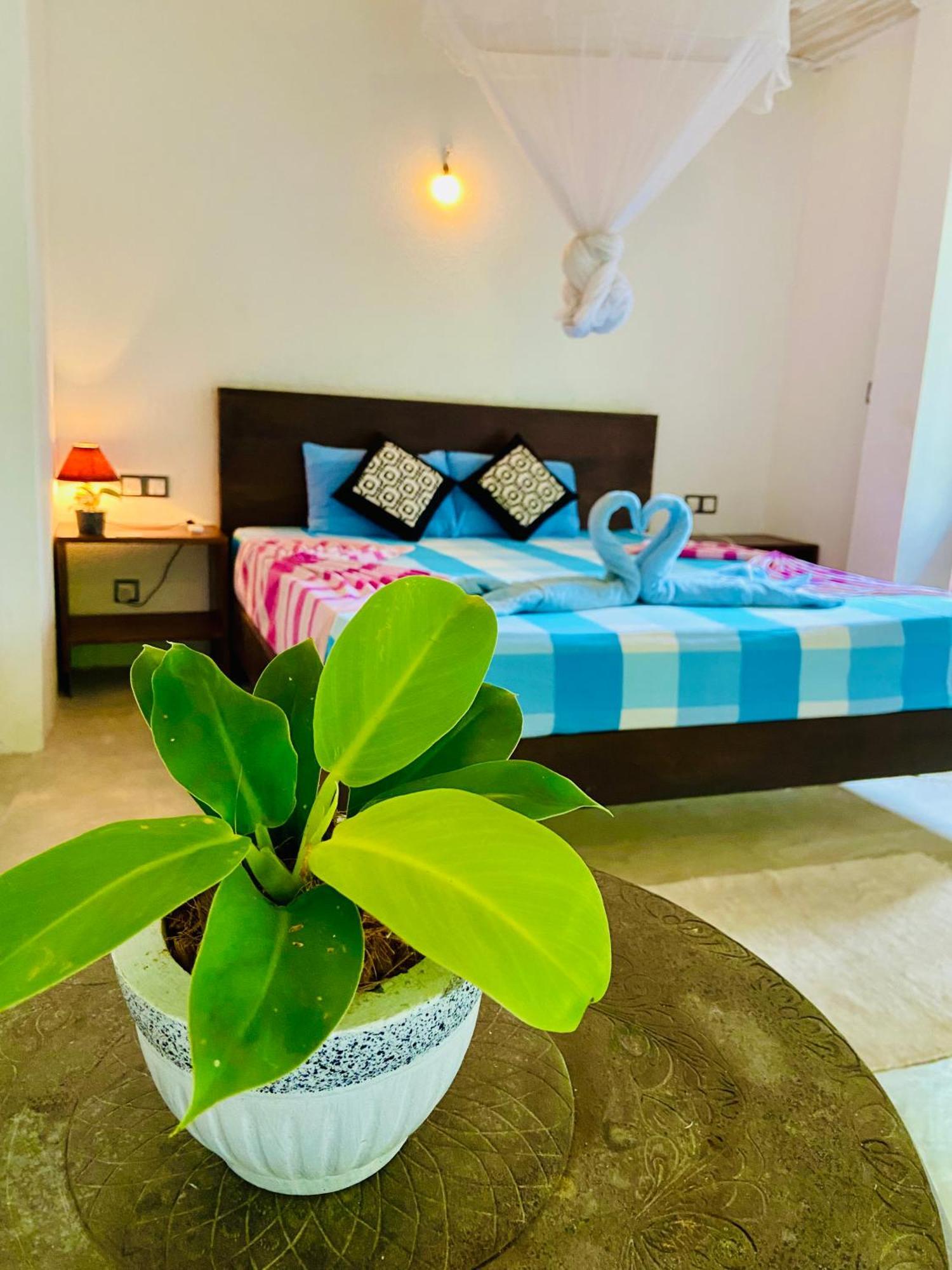Mountain Seaview Cabanas Tangalle Ngoại thất bức ảnh